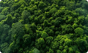 LTC GHG Report CY 2023